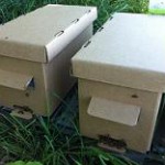 ящики для перевозки пчёл купить в Ростове-на-Дону