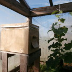 пчёлы в картонном улье опыляют теплицы