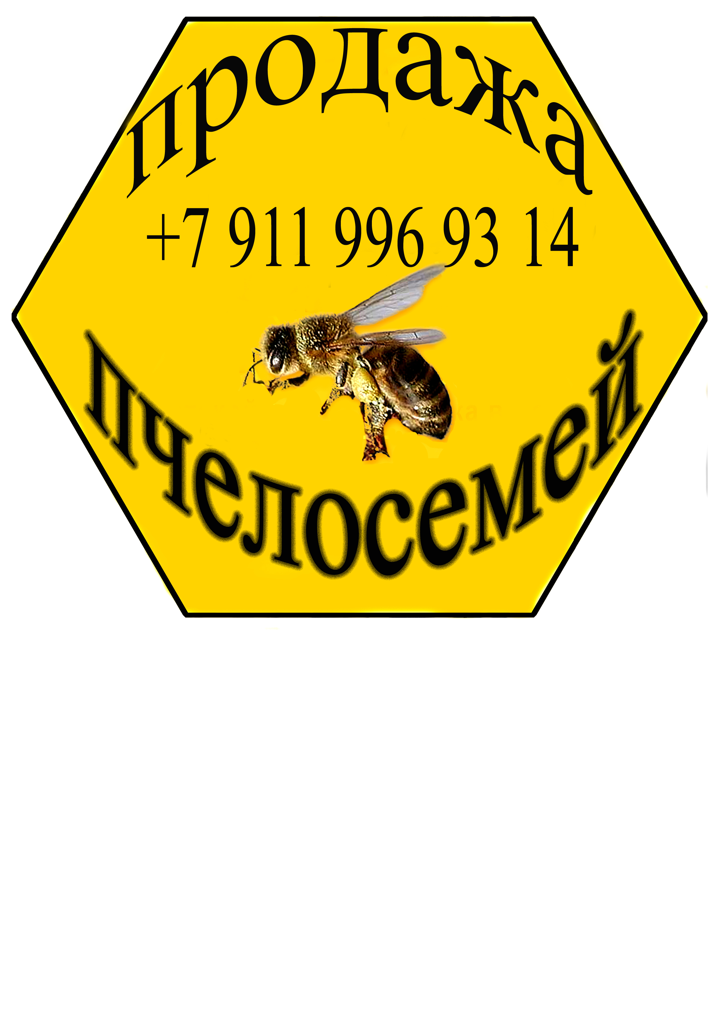 продажа пчёл