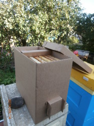 пакет для перевозки пчёл на 4 и 6 рамок