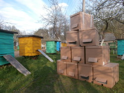 У8К - пакет для перевозки семьи пчёл