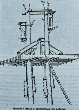 помост с ульями