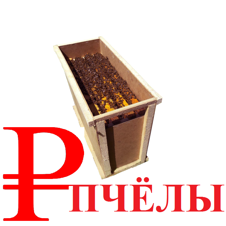 Магазин Для Пчеловодов Орел Магазин Для Пчеловодов Орел